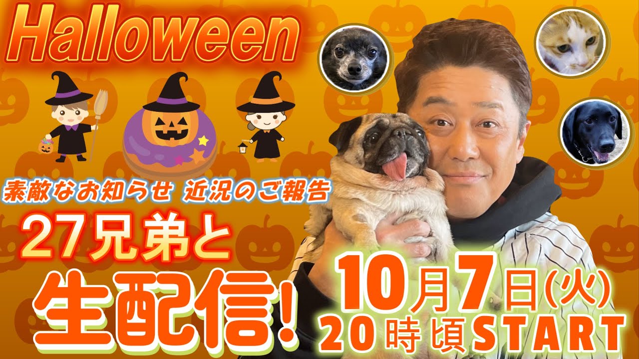 【生配信】１０月は楽しいハロウィン企画🎃新作グッズも続々登場！？ ２７兄弟とまったり生配信🐶🐱