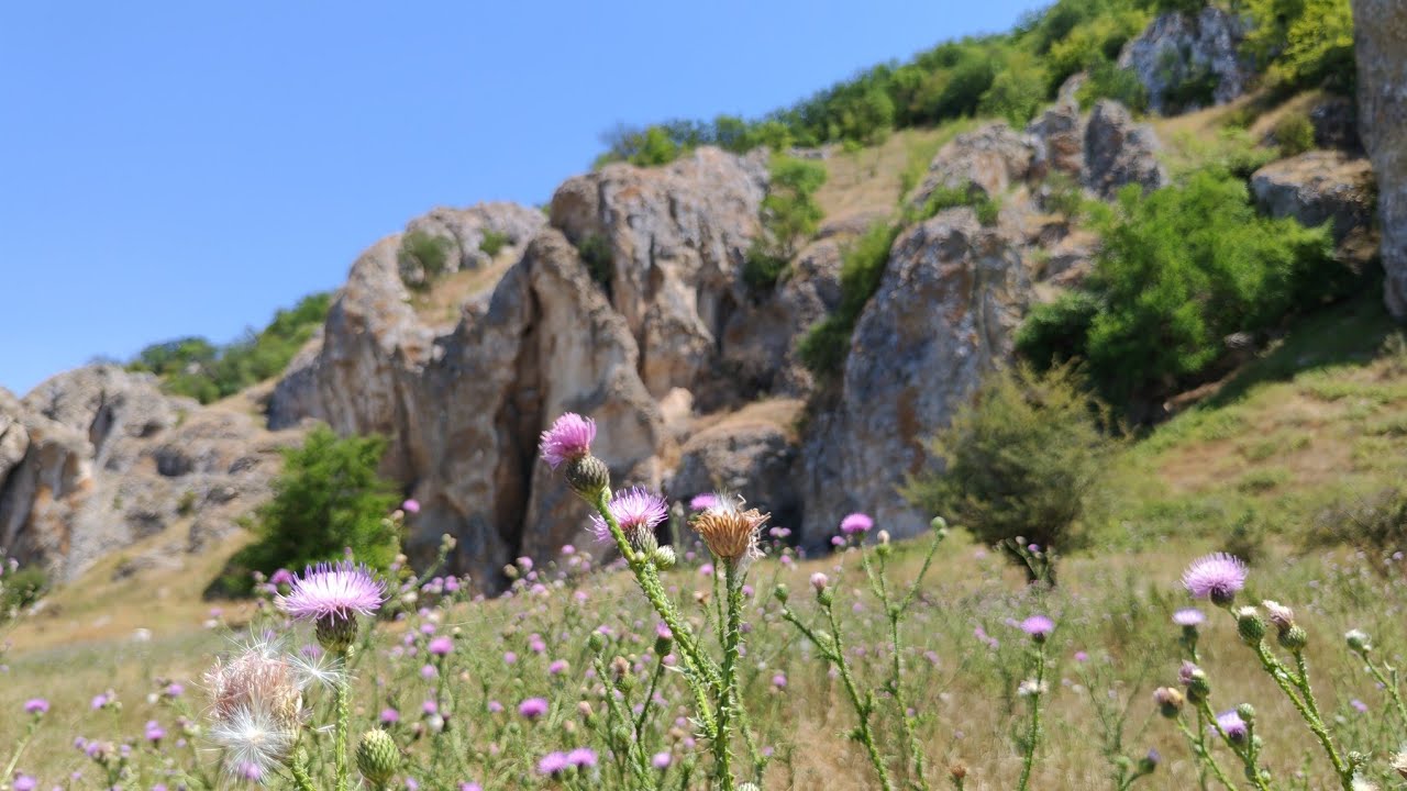 Printre Atoli, la Cheile Dobrogei