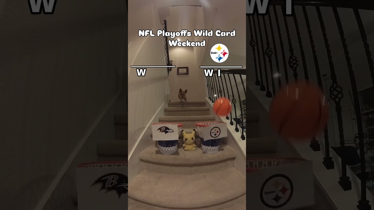 NFL Playoffs Ravens vs Steelers, how did we do? #nfl #ravens #steelers