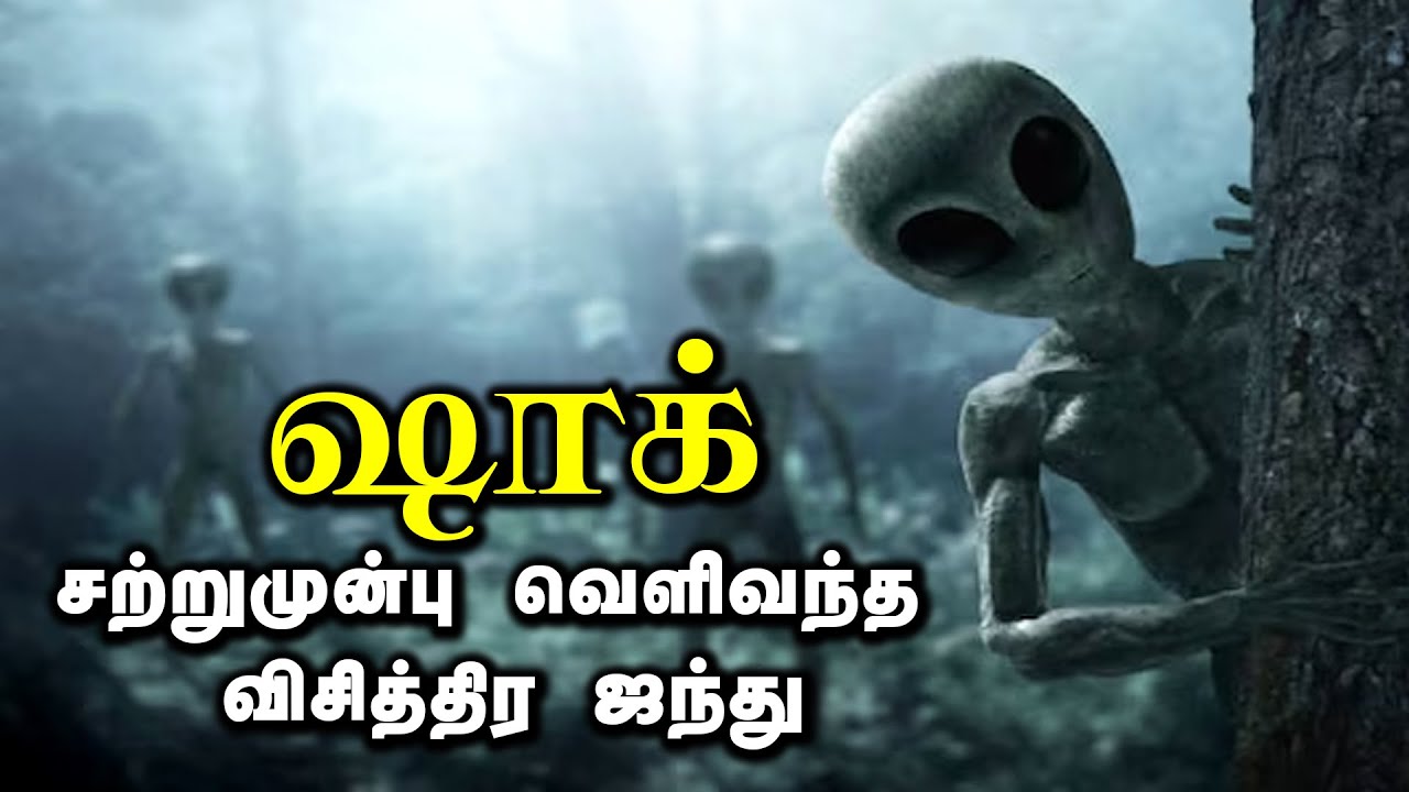 பூமிக்கு வந்து சென்ற ஏலியன்! தலைசுற்றவைக்கும் ஆதாரங்கள்! Alien who came to Earth! Dizzying Sources!