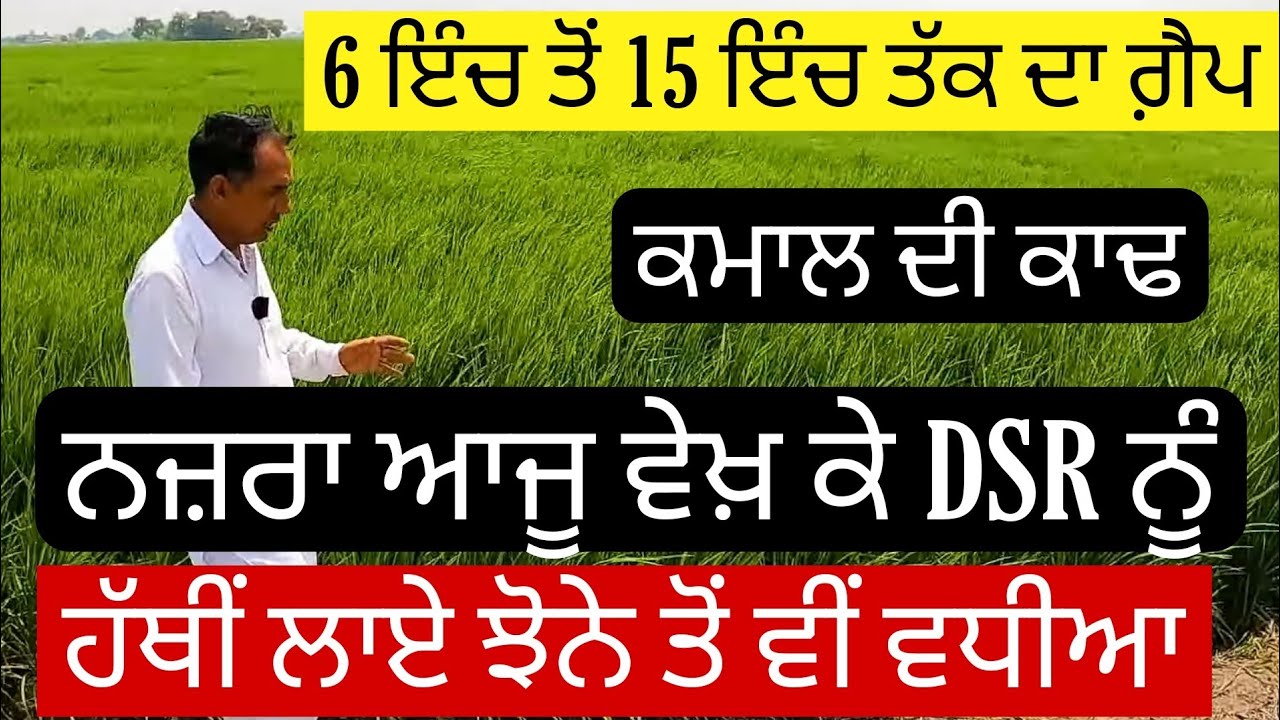 ਵੱਡੀ ਕਾਢ ਕੱਢ ਦਿੱਤੀ ਆਹ ਤਾਂ ਕਿਸਾਨ ਨੇ , ਮਹਿੰਗੀ ਲੇਬਰ ਤੋਂ ਛੁਟਕਾਰਾ ਮਿਲਜੂ | BBC AGRO DSR
