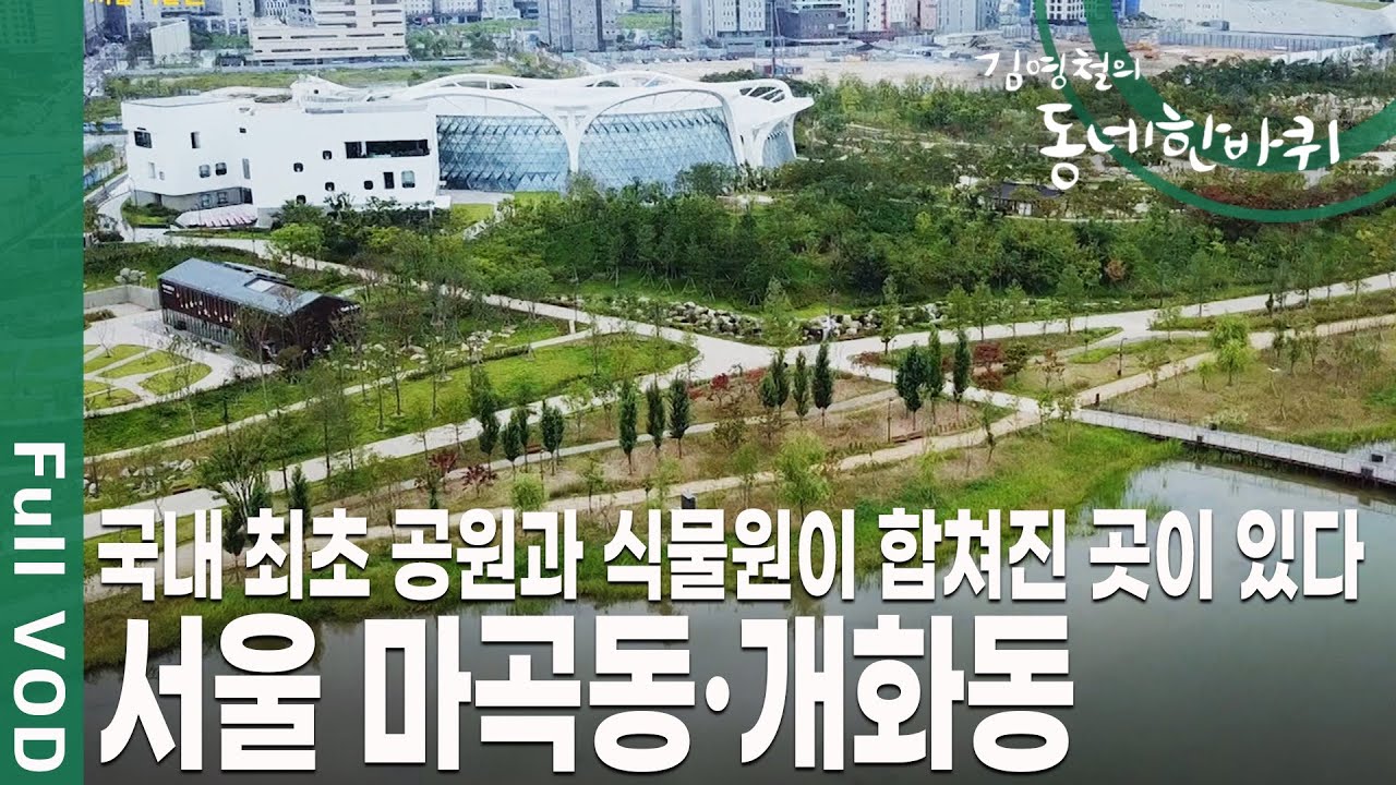 한강의 서쪽 끝, 빌딩 숲과 식물원이 들어선 세련된 도시의 풍경을 자랑한다! 서울 마곡동, 개화동 [김영철의 동네 한 바퀴 KBS 20190928 방송]