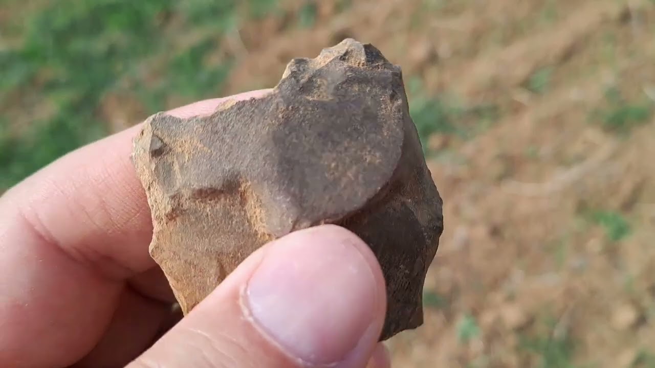 Comment trouver des outils préhistoriques : tuto sur le terrain !