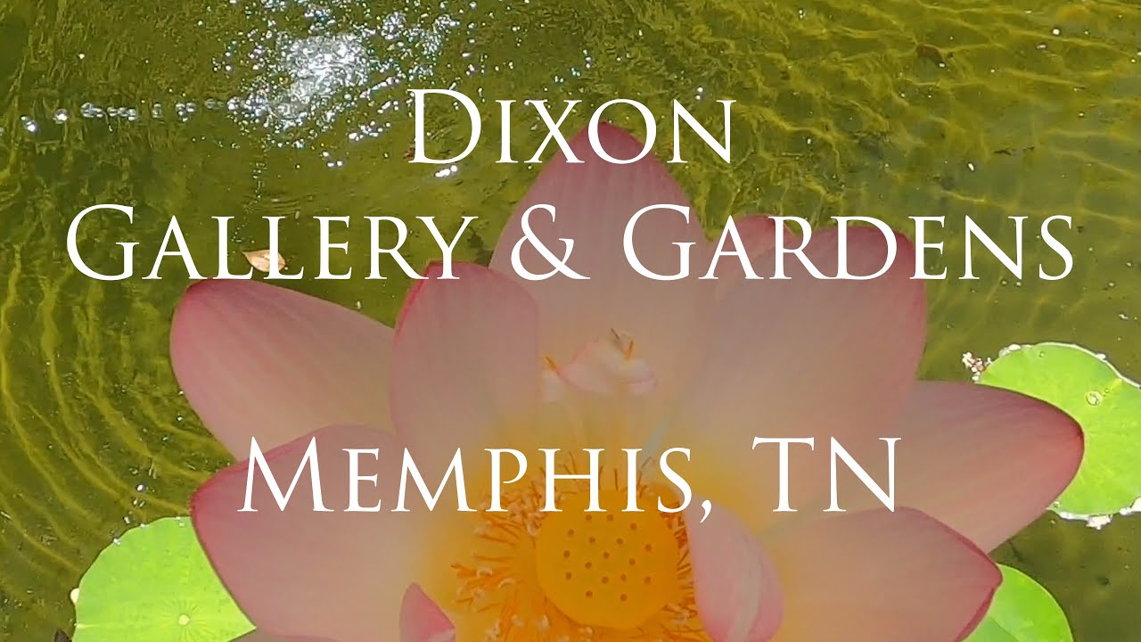 #garden #tennessee  #art Best Gardens in America - Dixon Gallery and Gardens of Memphis, TN