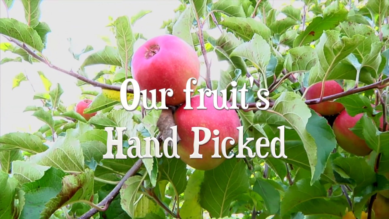 Locally Grown Foods