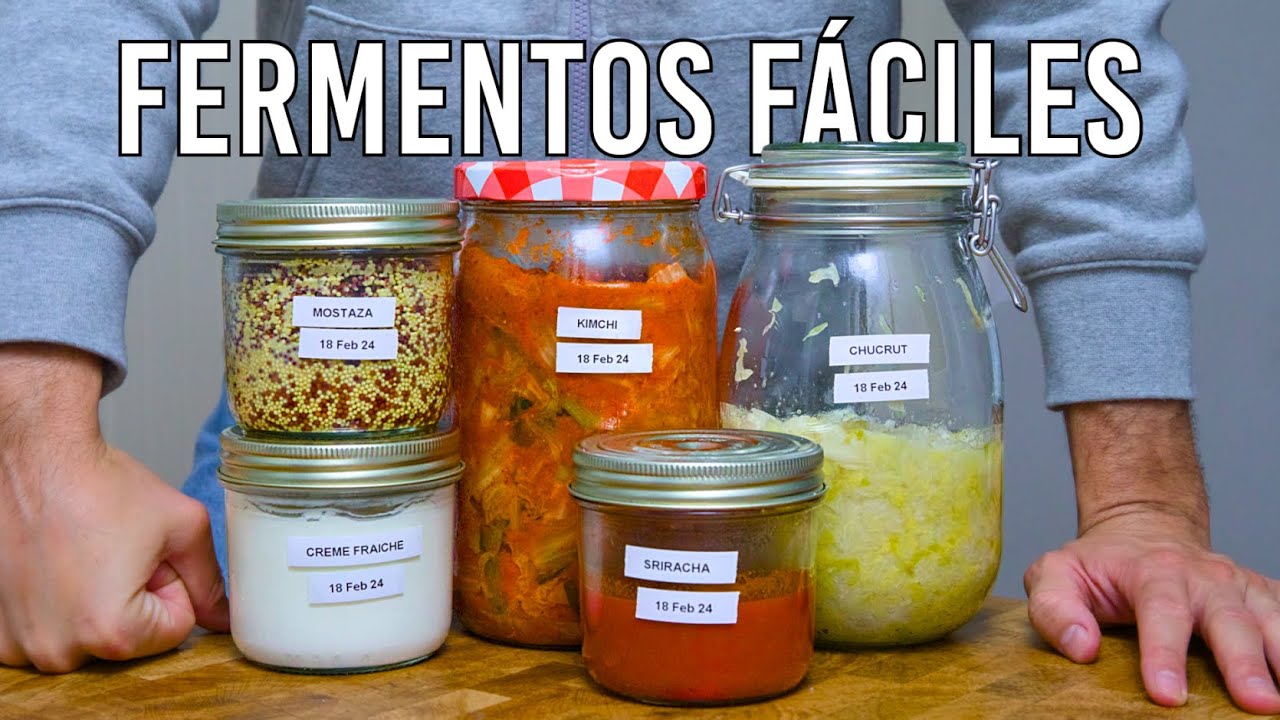 5 fermentos para principiantes