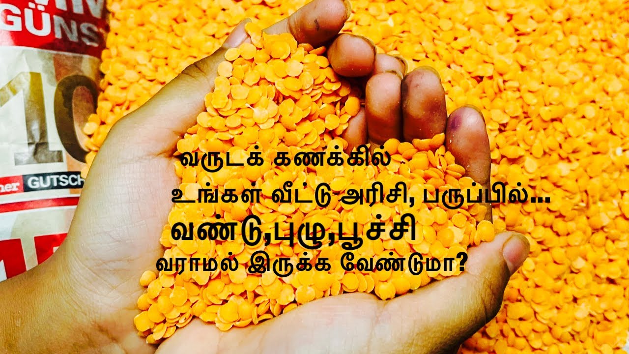 அரிசி,பருப்பில் வண்டு,பூச்சி,புழு வராமல் இருக்க குறிப்பு# storage Tips in Tamil #avoid  rice bugs