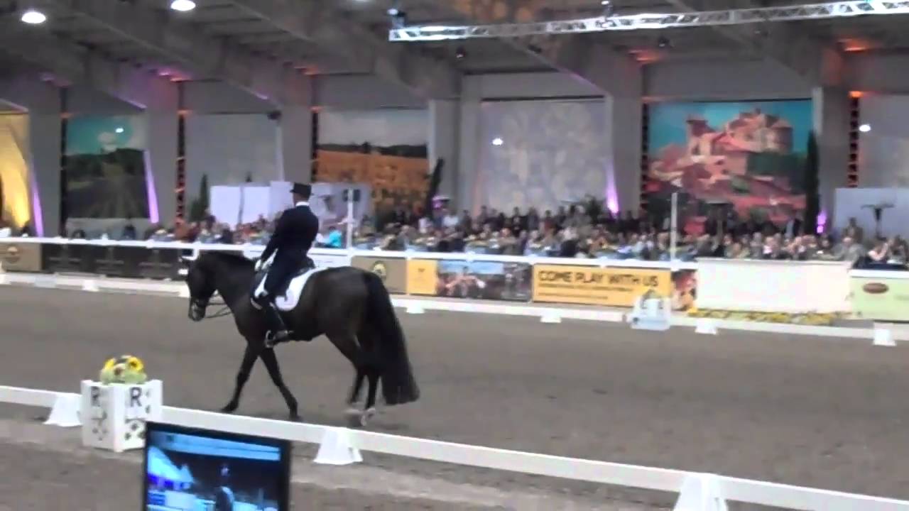 Steffen Peters and Ravel 2011 World Dressage Masters Palm Beach Win Freestyle