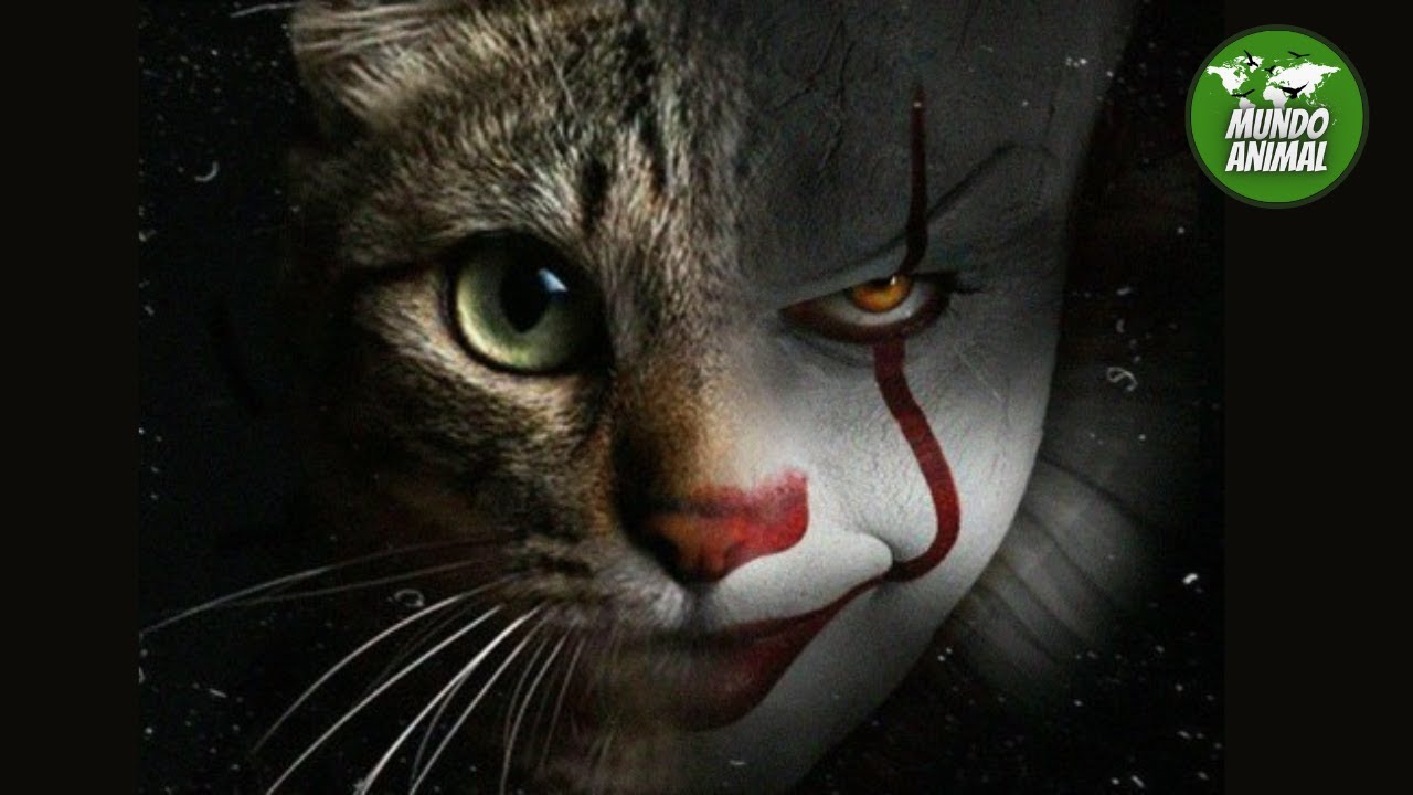 Historias de Animales TERRORÍFICAS que te dejarán ASOMBRADO