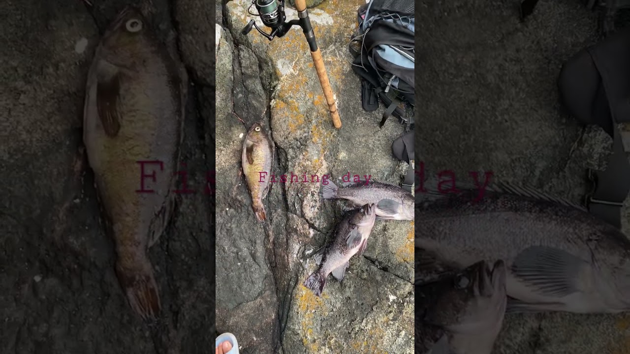 Fishing Day in Victoria BC