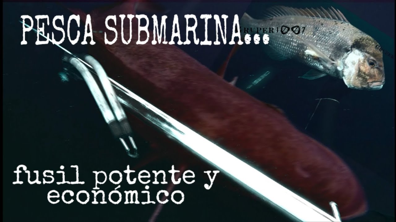 PESCA SUBMARINA 2019 UN FUSIL POTENTE Y ECONOMICO, CONFIGURACION Y ARGUMENTOS