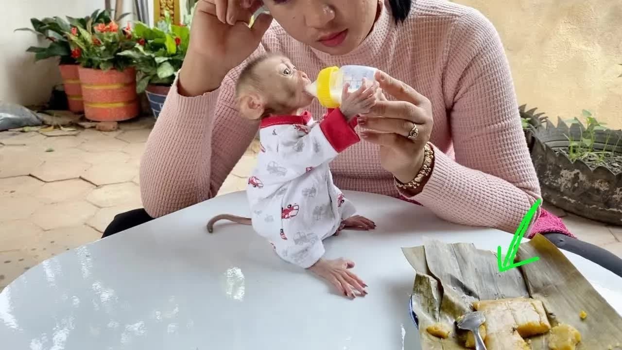 BB DAM Get A Bottle Milk Extra After Eating Banana Cake