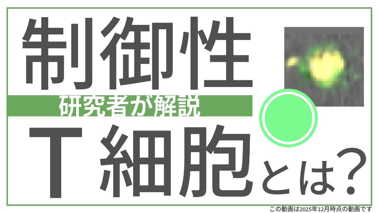 がんと免疫の仕組み：制御性T細胞の役割をやさしく解説【国立がん研究センター 研究所】