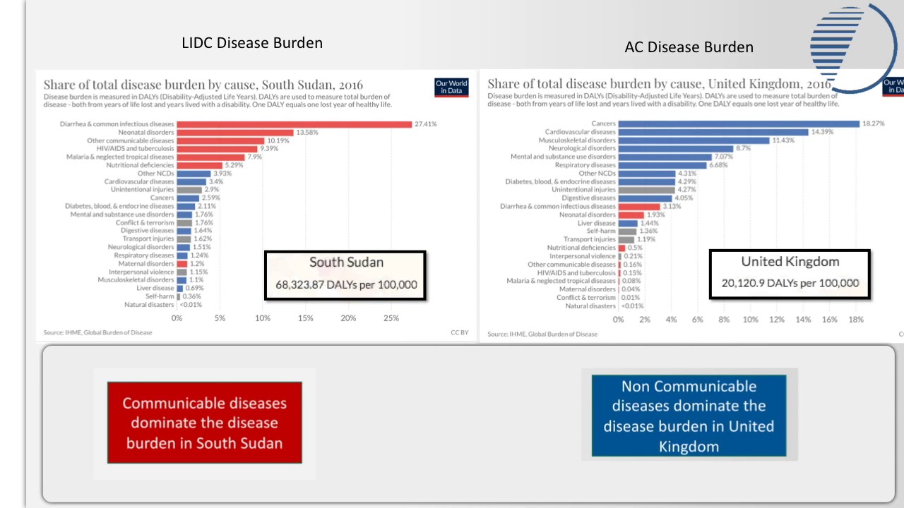 Global Disease Burden
