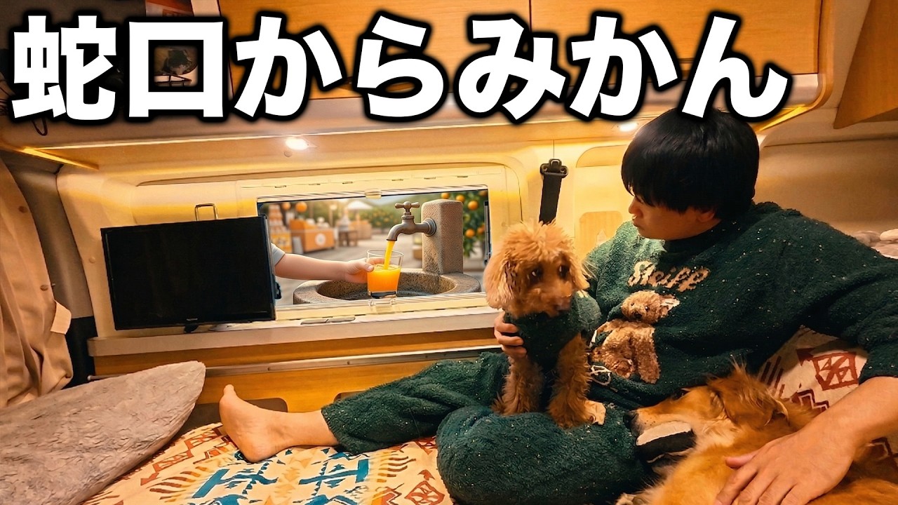 【犬と車中泊】愛媛の都市伝説」「蛇口からみかんが出る」は本当なのか&hellip;？実際に検証したら驚きの事実が判明しました