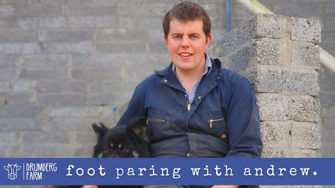 Foot Paring With Andrew