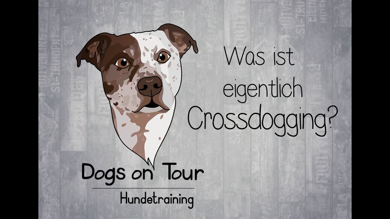 Was ist eigentlich Crossdogging?