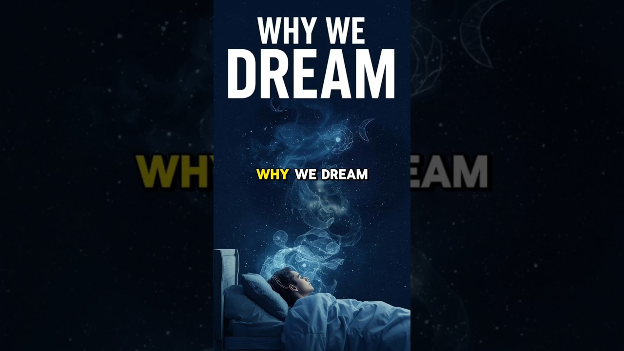 ПОЧЕМУ МЫ СНОВИДИМСЯ ВО ВРЕМЯ СНА 😴 Основные причины, факторы и значение сновидений во время фазы...