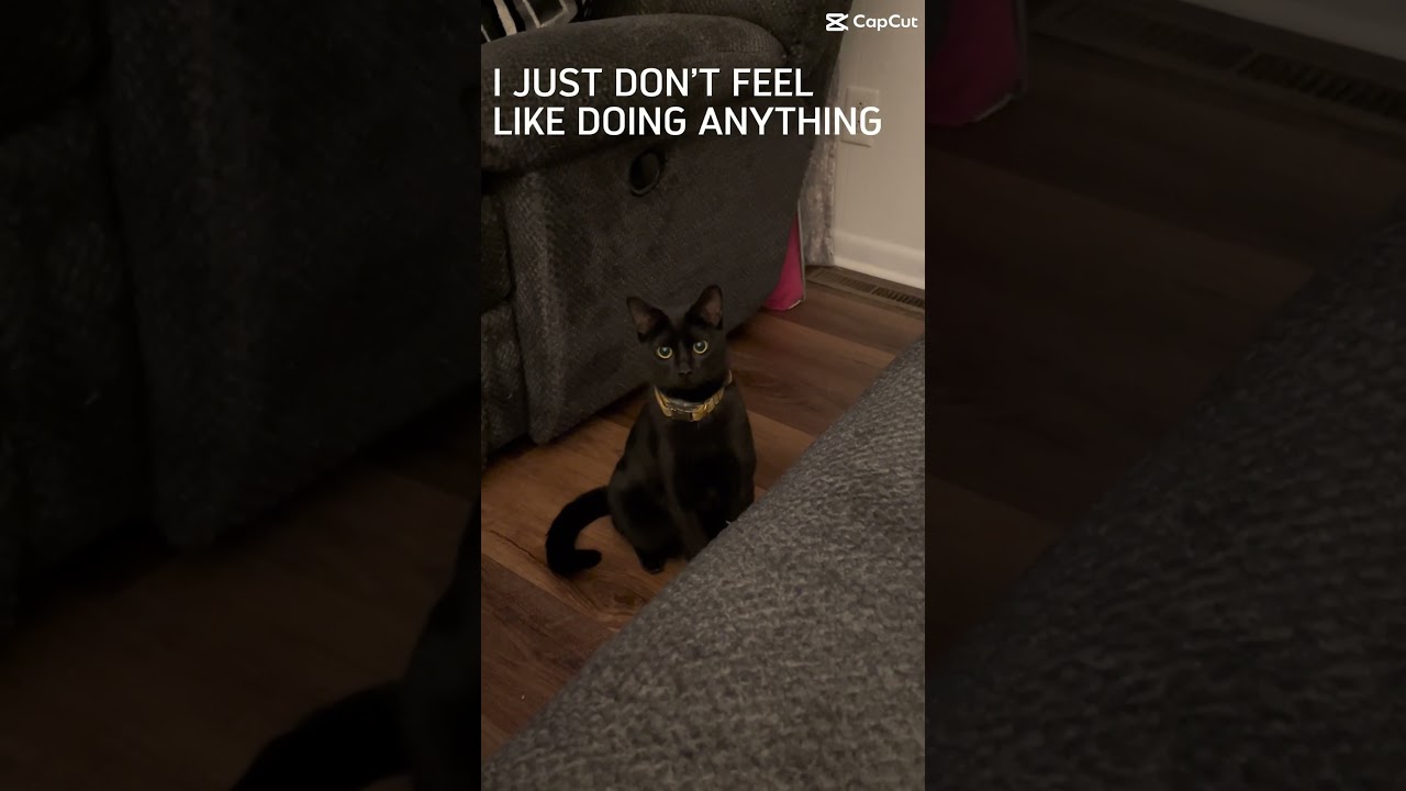 Selective participation 😸