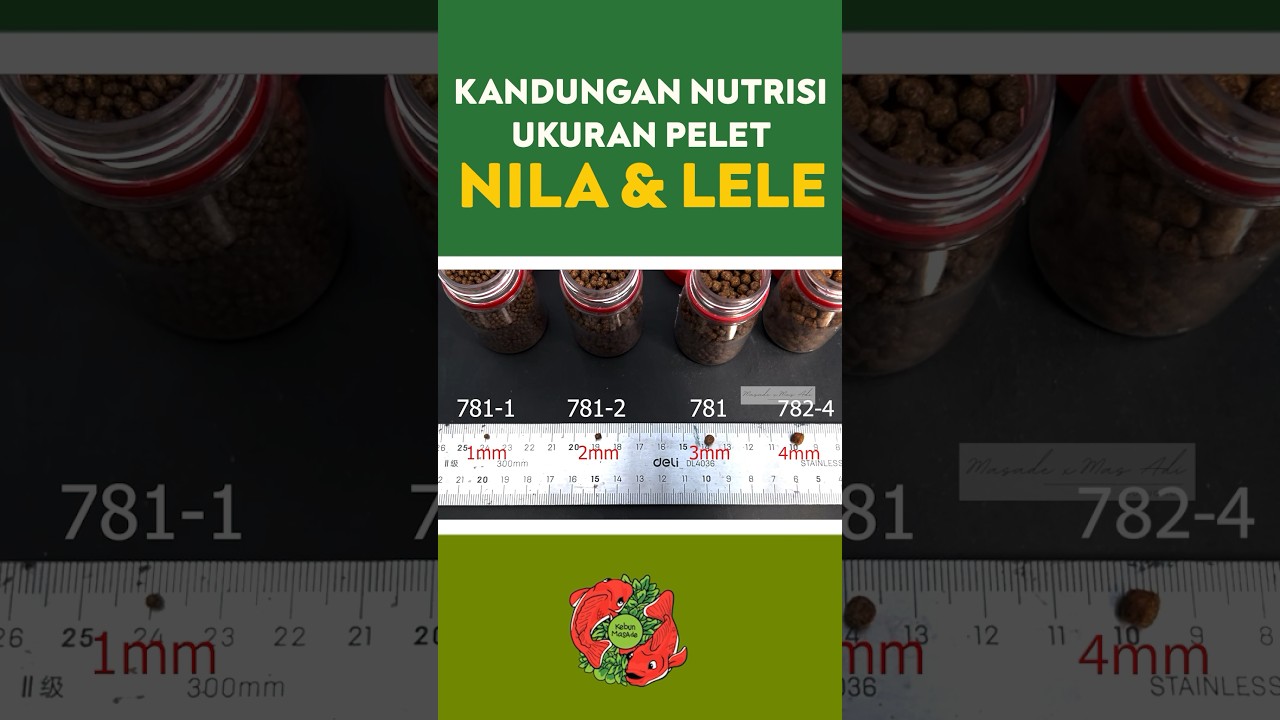 Perbedaan ukuran pelet Lele & Nila HiProVite 781-1, 781-2, 781, 782-4 #pakanikan #pakanlele #kolam