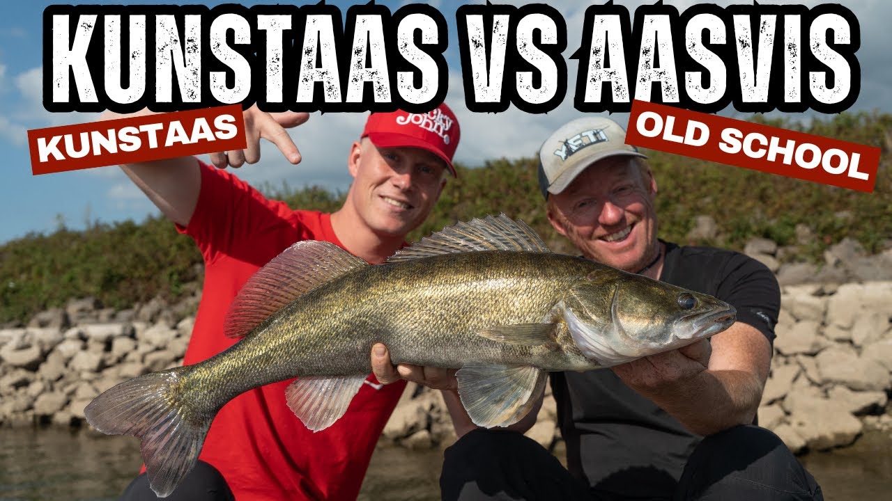 Kunstaas vs. Aasvis. Wie vangt de meeste roofvissen op de rivier?