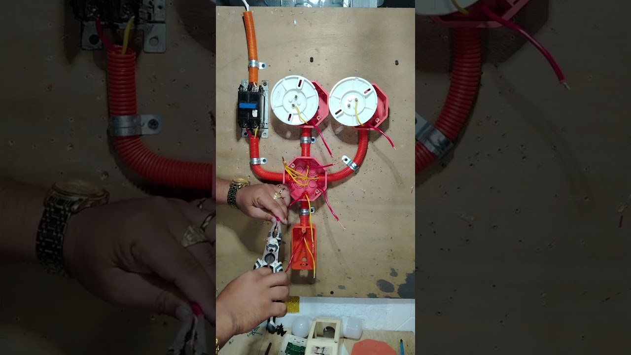2 Bulb control by single switch #electricalswitch #electrical 