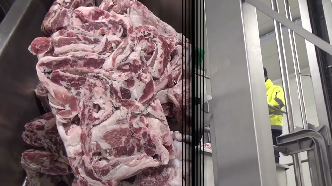 NetCan: Meat Processing Line