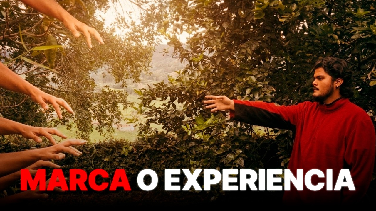Gestión de identidad visual: cuando la marca vende experiencia