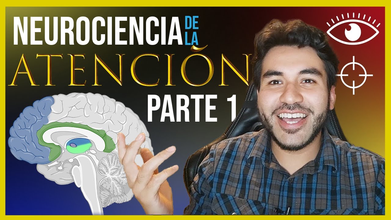 ATENCI&Oacute;N y REALIDAD - Neurociencia y Atenci&oacute;n Cap&iacute;tulo 1