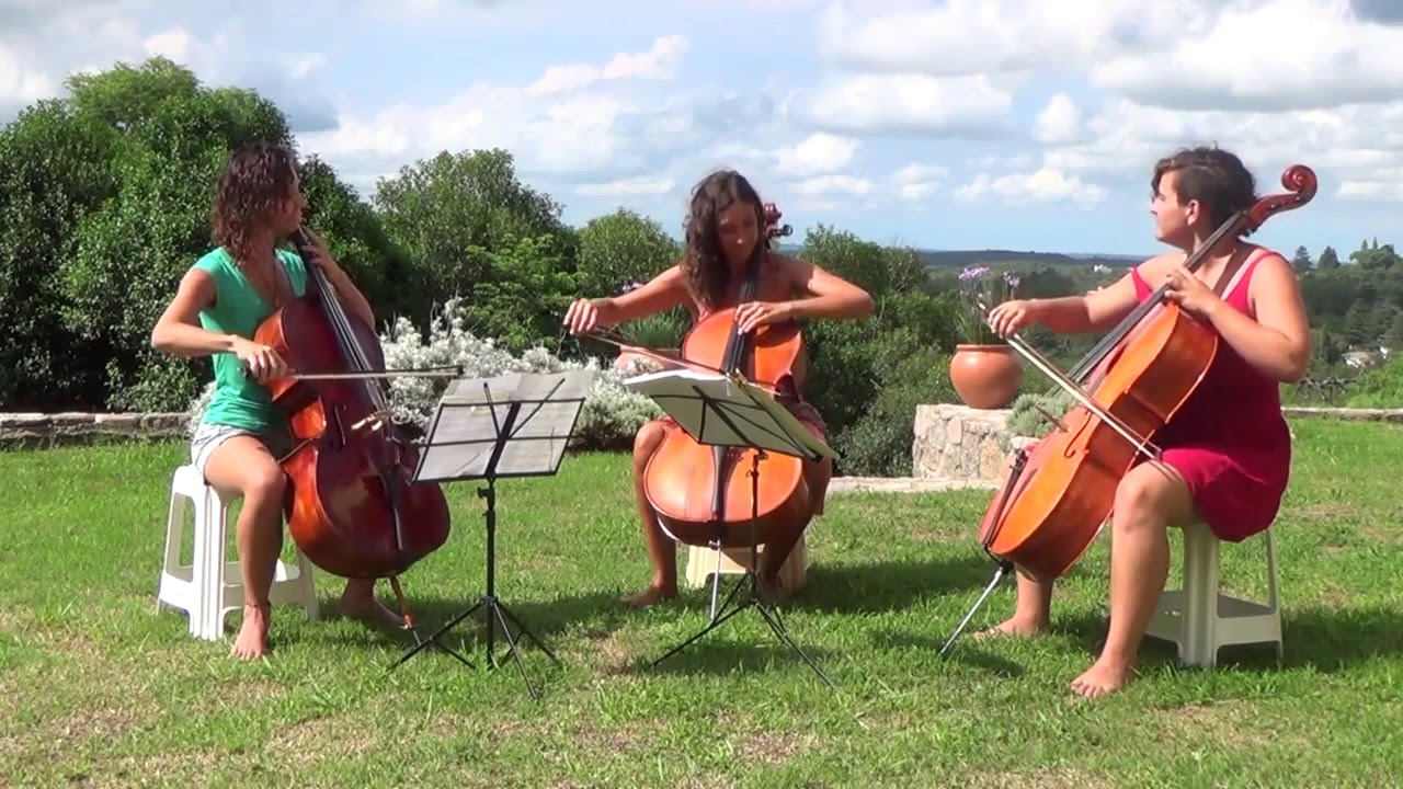 Como el aire (Juan Falú) - Flor Sur Cello Trio
