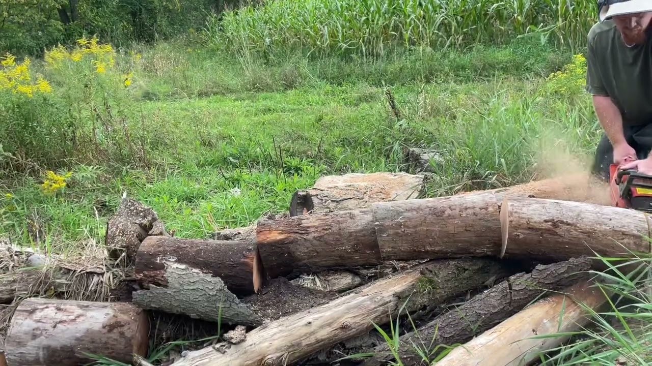The Ported Husqvarna 254 having a great time making firewood