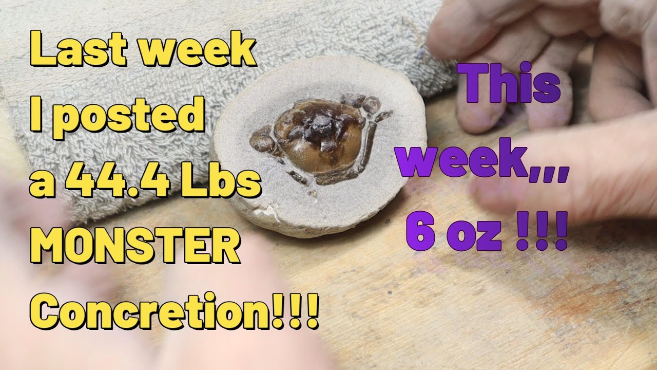 Last week Posted 44 Lbs Monster Conc!  This week Posting a 6 Oz Crab Conc!!!
