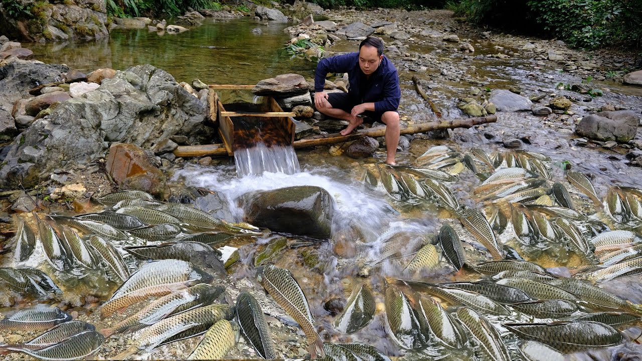 This guy uses Primitive Skills block the whole river to trap fish, The number of fish surprises us