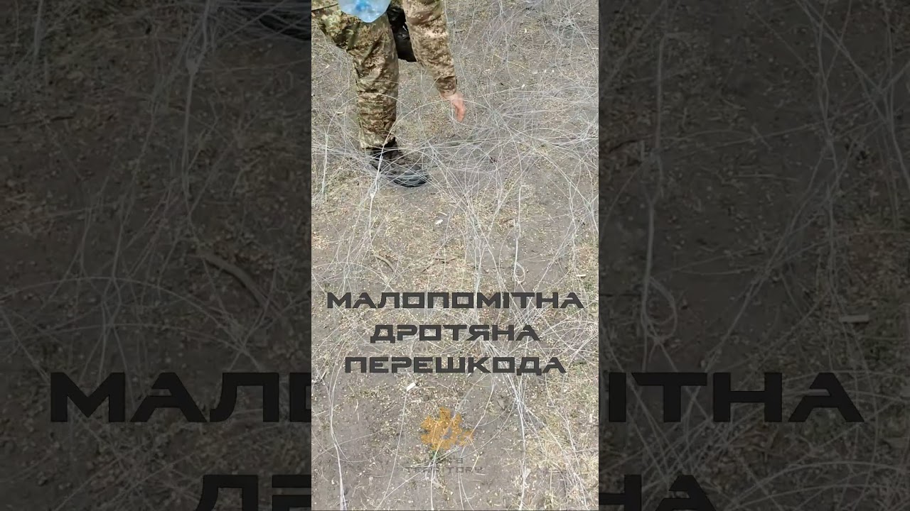 МЗП 