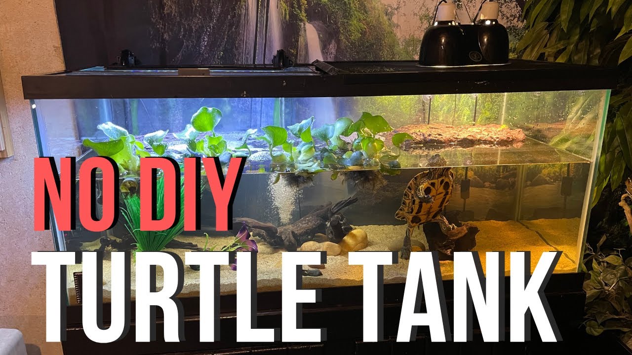 (NO DIY) TURTLE TANK SETUP! - EASY Beginner Turtle Aquarium