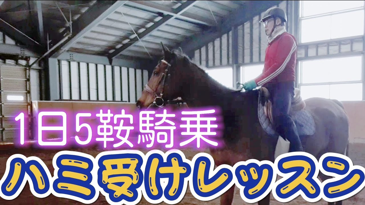 ハミ受けレッスン 乗馬 1日5鞍(207～211鞍目) ライディングヒルズ静内