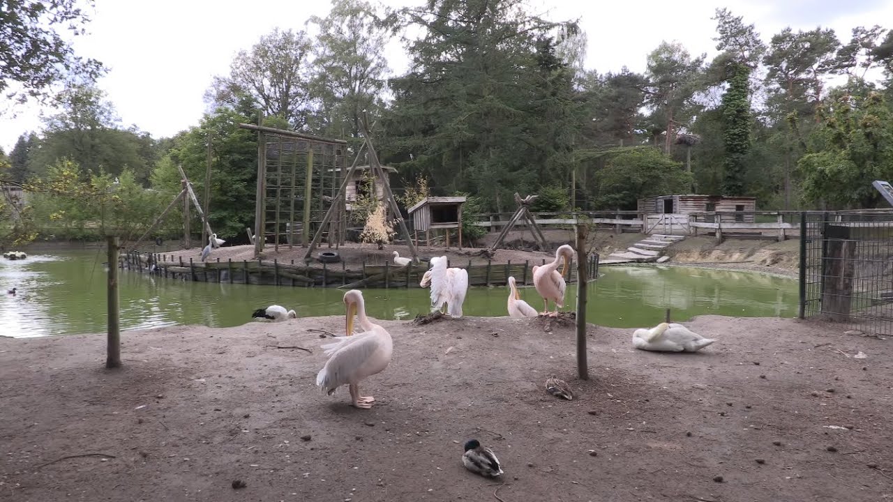 Zoo Veldhoven  ons bezoekje made by M Willems Muziek Smartsound
