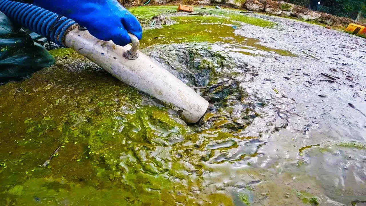 バキュームカーで巨大池の大量ヘドロ吸ってみた【リゾート施設の池の水抜いてみた#7】