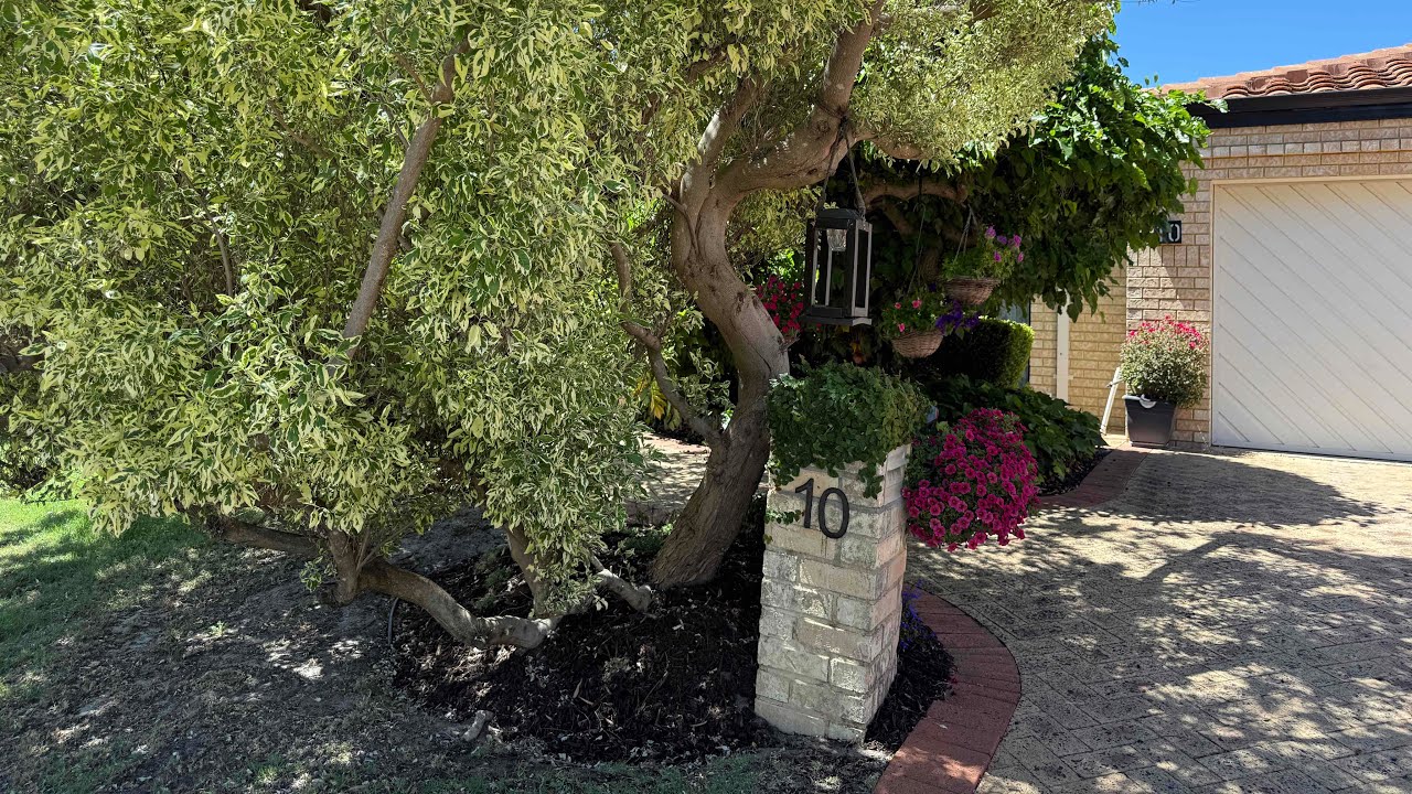 10 Pinewood Walk, Canning Vale 