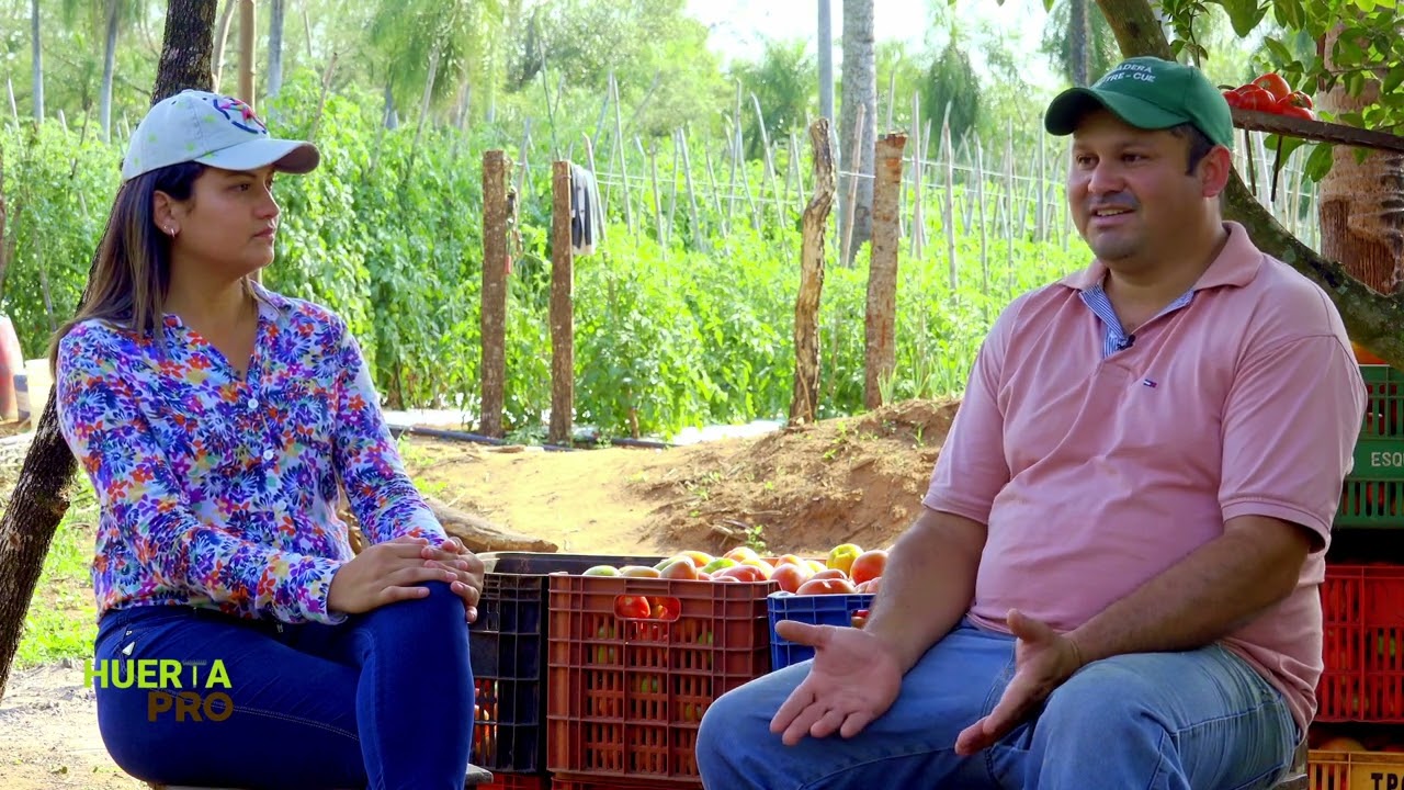 HUERTA PRO - PRODUCCIÓN DE TOMATES