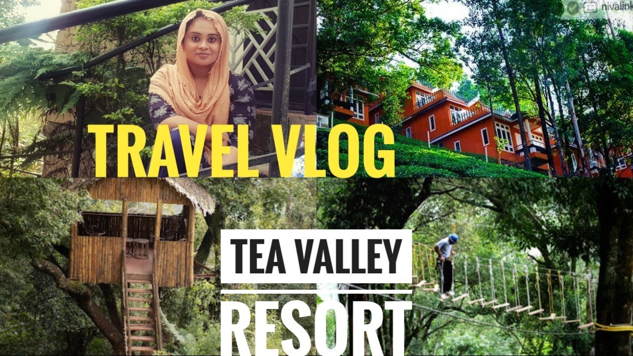 TRAVEL VLOG || TEA VALLEY RESORT...