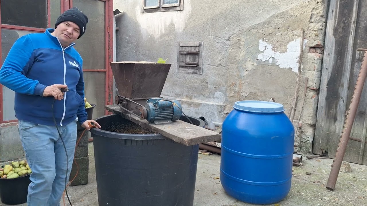 Macinam pere pentru palinca