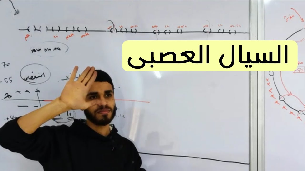 السيال العصبى ( ما  وراء البصمجة )