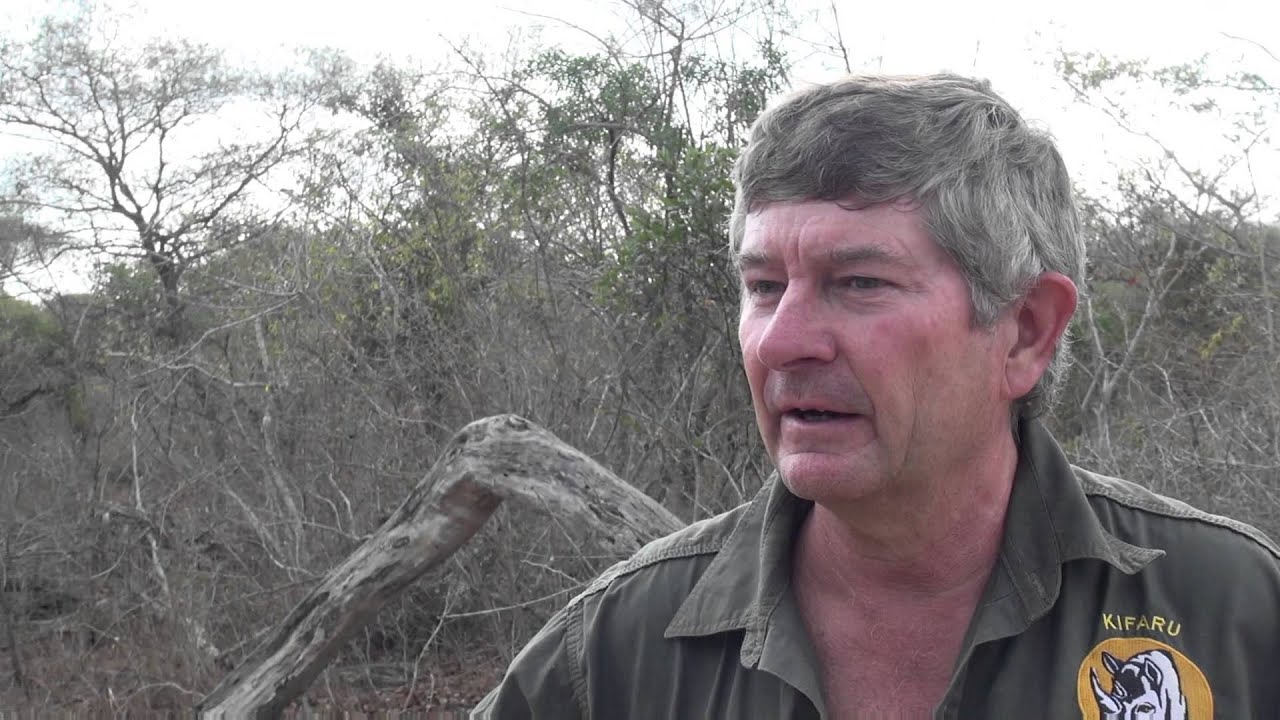 Lion vet Dr Mike Toft speaks about the process of translocating the animals