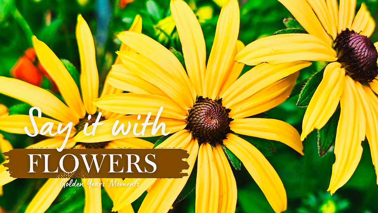 Say It With Flowers ||TPC
