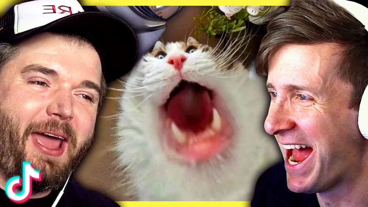 The funniest TikToks of 2025...so far