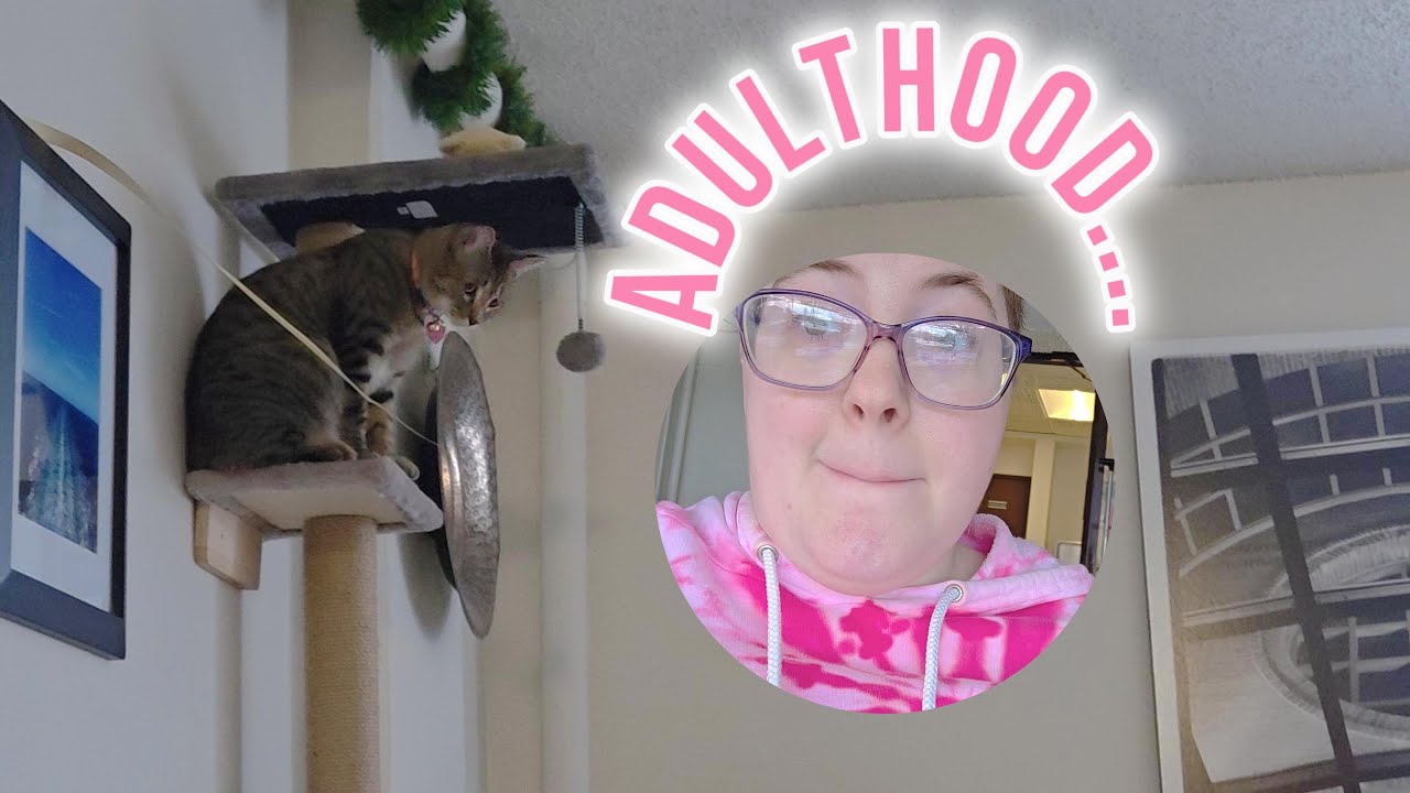 Lessons in Adulting