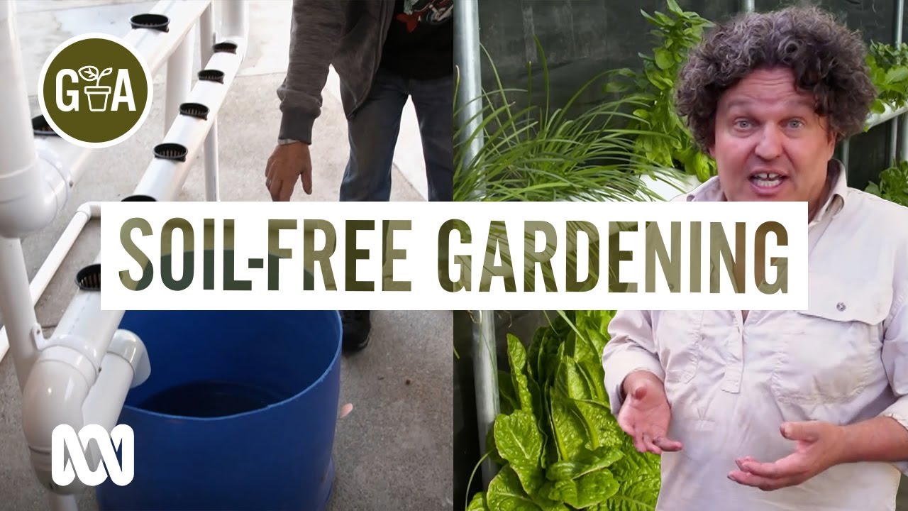 Hydroponics Explained: Grow More Veggies Without Soil | Discovery | Gardening Australia