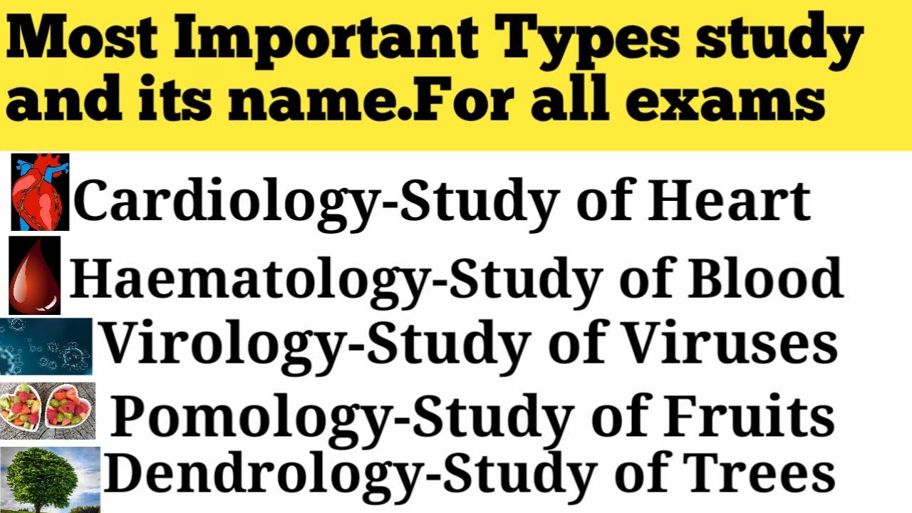 Different types of studies and their Names||Root words with logy||A list of different types of study