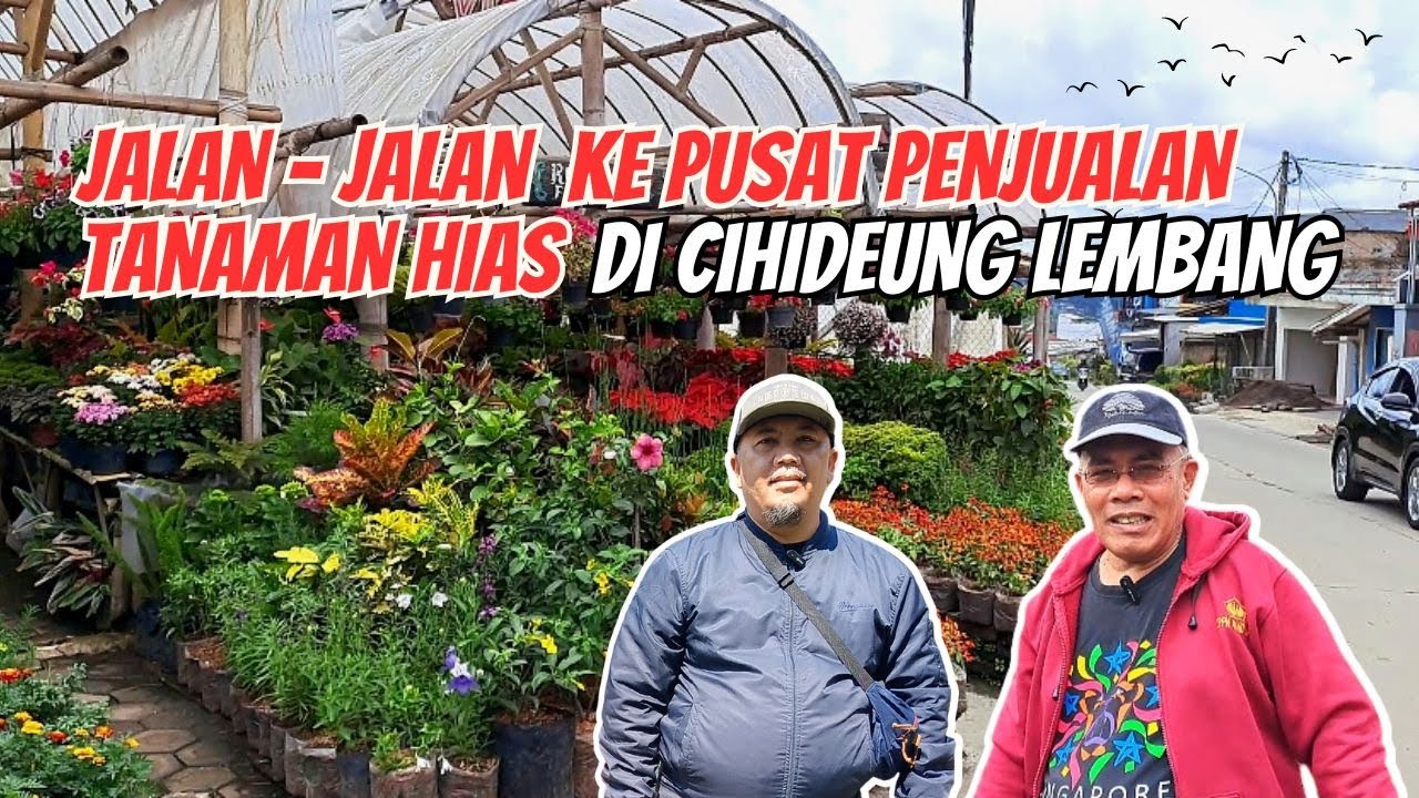 Wisata Jalan ke taman bunga Cihideung Lembang @M@la2Sutan
